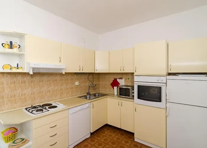 Blue Vineyard Potomje